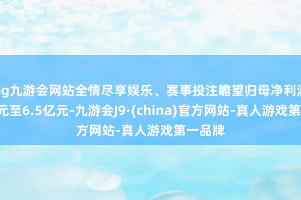 ag九游会网站全情尽享娱乐、赛事投注瞻望归母净利润为6亿元至6.5亿元-九游会J9·(china)官方网站-真人游戏第一品牌