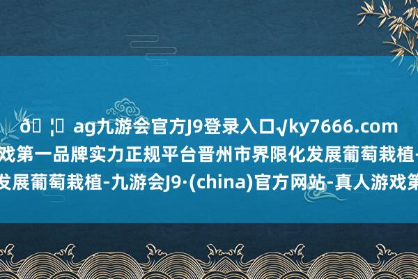 🦄ag九游会官方J9登录入口√ky7666.com√ag九游会官网真人游戏第一品牌实力正规平台晋州市界限化发展葡萄栽植-九游会J9·(china)官方网站-真人游戏第一品牌