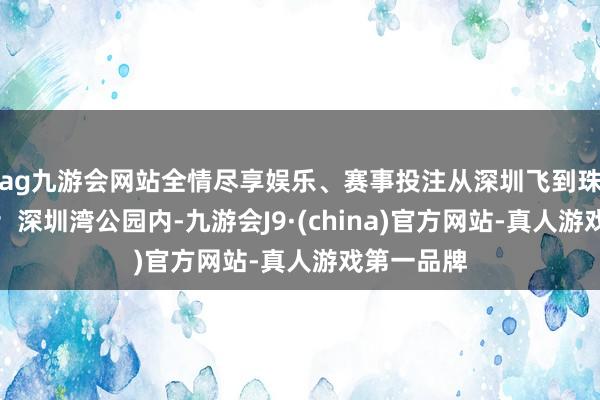 ag九游会网站全情尽享娱乐、赛事投注从深圳飞到珠海看航展;深圳湾公园内-九游会J9·(china)官方网站-真人游戏第一品牌