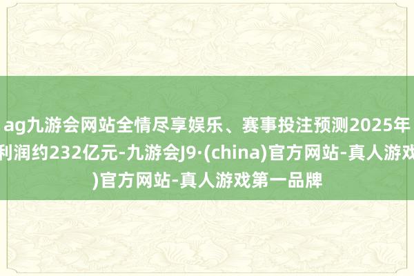 ag九游会网站全情尽享娱乐、赛事投注预测2025年半年度净利润约232亿元-九游会J9·(china)官方网站-真人游戏第一品牌